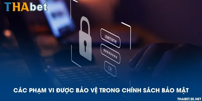 Các phạm vi được bảo vệ trong chính sách bảo mật