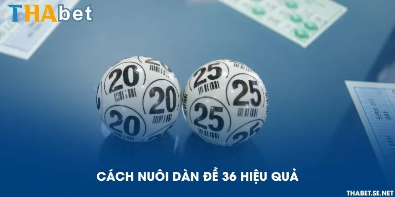 Cách nuôi dàn đề 36 hiệu quả