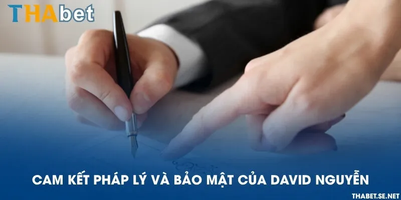 Cam kết pháp lý và bảo mật của David Nguyễn
