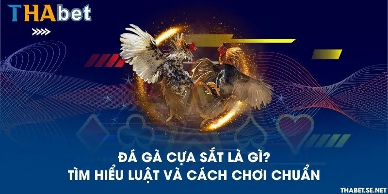 Đá gà cựa sắt là gì? Tìm hiểu luật và cách chơi chuẩn