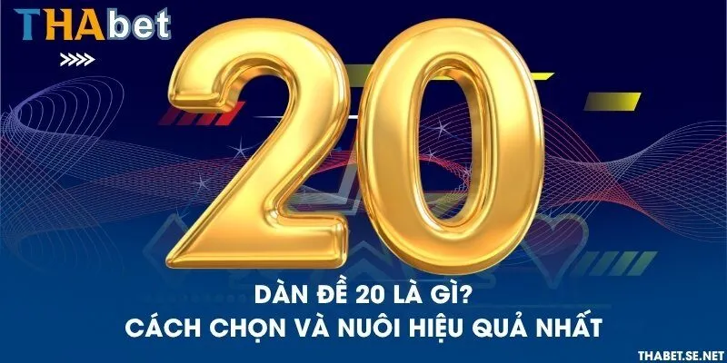 Dàn đề 20 là gì? Cách chọn và nuôi hiệu quả nhất