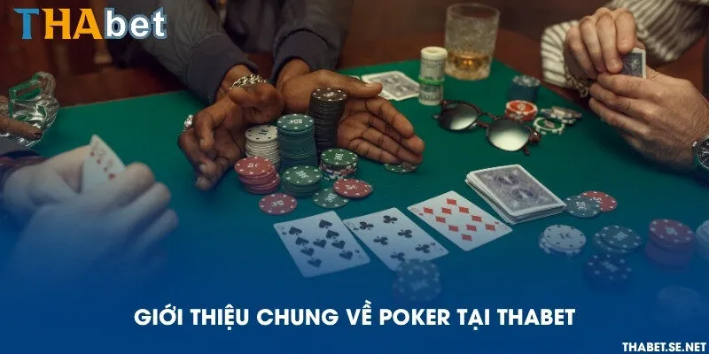 Giới thiệu chung về Poker tại THAbet