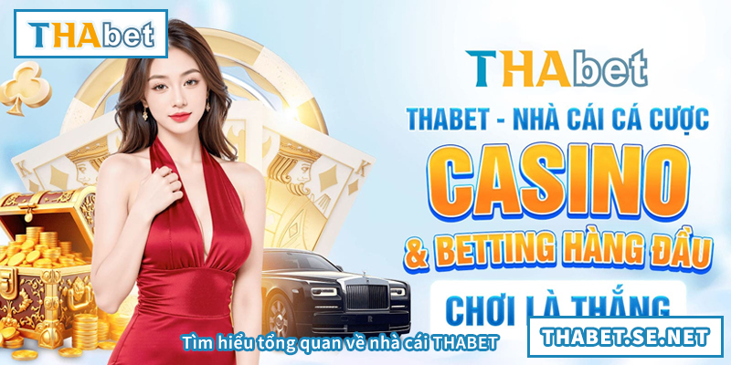 Tìm hiểu tổng quan về nhà cái THABET